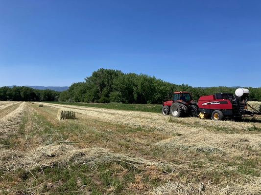 CCI Farm has Another Opportunity to bid on Hay/Feed