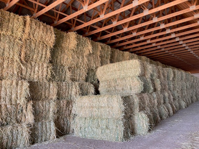 CCI Hay Available to the Public - Accepting Bids Now – Colorado ...