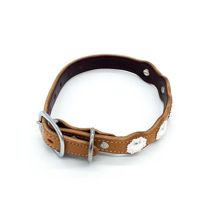 Leather dog collar, scalloped with conchos